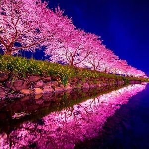 Meet your Posher, GiGi